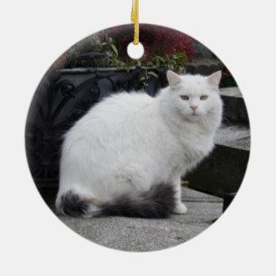Schöne weiße Katze auf einem Grab Keramikornament
