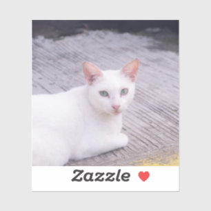 Schöne weiße Katze Aufkleber