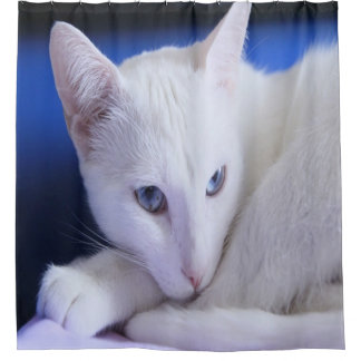 Schöne weiße Katze/Foto des Haustiers hinzufügen Duschvorhang