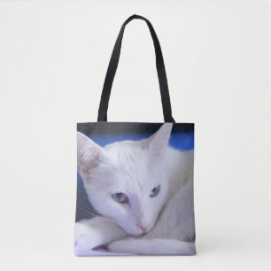 Schöne weiße Katze/Fügen Sie das Foto Ihres Hausti