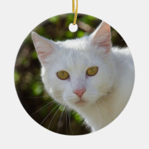 Schöne weiße Katze Keramikornament