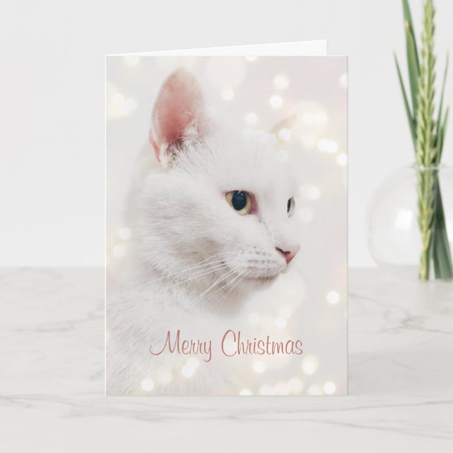 Schöne weiße Katze mit Weihnachtslicht Urlaub Karte (Vorderseite)