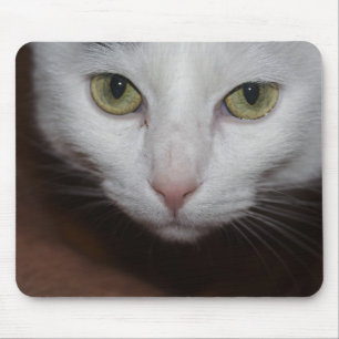 Schöne weiße Katze Mousepad