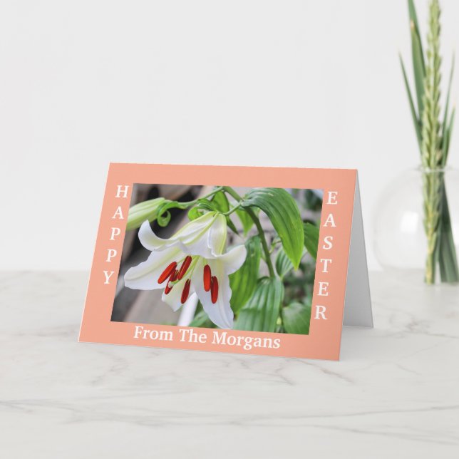 SCHÖNE WEISSE, LEICHT GLÜCKLICHE OSTKARTE FEIERTAGSKARTE (Vorderseite)