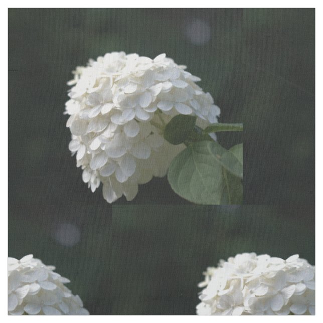 Schöne weiße Limette Hortensien-Blumen Stoff (Muster)