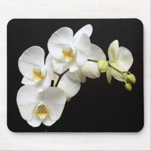 Schöne weiße Orchidee mit schwarzem Hintergrund Mousepad