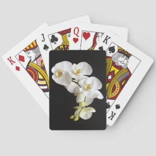 Schöne weiße Orchidee mit schwarzem Hintergrund Spielkarten