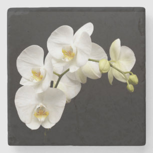 Schöne weiße Orchidee mit schwarzem Hintergrund Steinuntersetzer