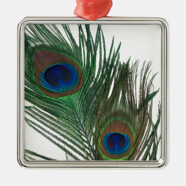 Schöne Weiße Pfauenfeder-Ornament Silbernes Ornament (Vorne)