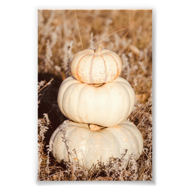 Schöne weiße Pumpkins Herbstwiese Fotodruck (Vorne)