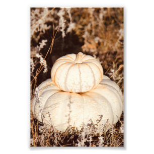 Schöne weiße Pumpkins Herbstwiese Fotodruck