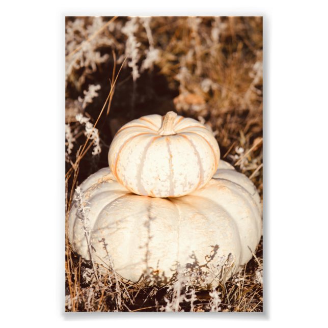 Schöne weiße Pumpkins Herbstwiese Fotodruck (Vorne)