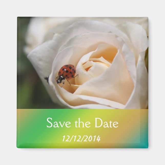 Schöne weiße Rose Blume Save the Date Magnet (Vorne)