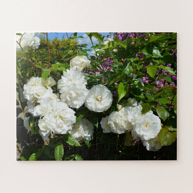 Schöne weiße Rosen Puzzle (Horizontal)