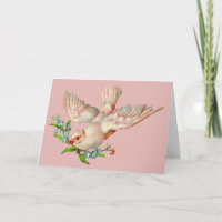 schöne weiße Taube mit Sprig im Mund