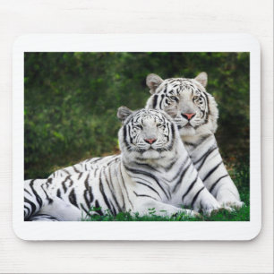 Schöne weiße Tiger Mousepad