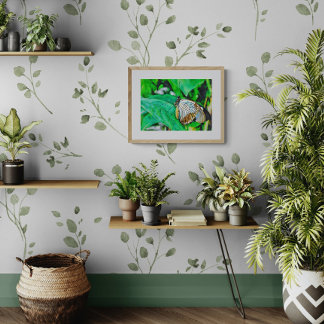 Schöne weiße und braune Schmetterling Fotodruck