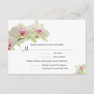 Schöne, weiße und Hot-Pink-Orchideen RSVP-Karten RSVP Karte