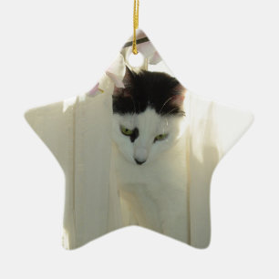 Schöne weiße und schwarze Katze Keramik Ornament