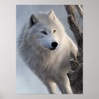 Schöne Weiße Wolf Kunst Poster