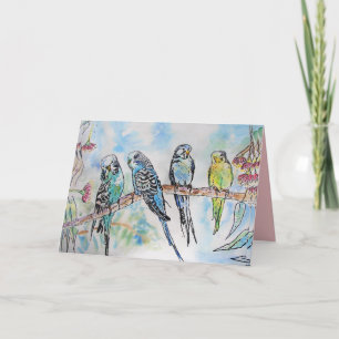 Schöne Wellensittiche, Budgerigars und Gummiblüten Karte