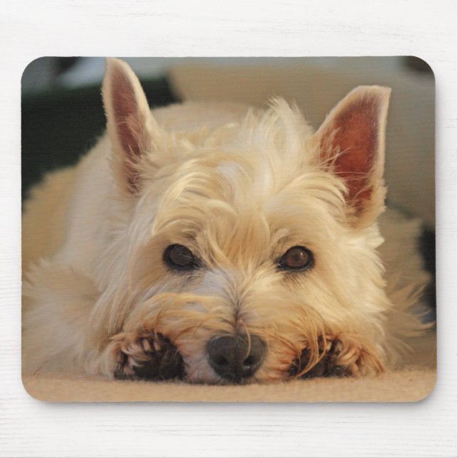 Schöne Westie Hundemausunterlage/Mäusematte Mousepad (Vorne)