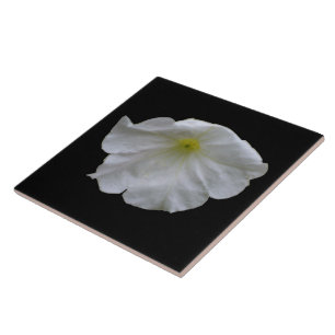Schöne White Petunia Tile Fliese