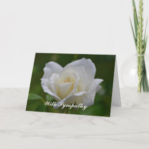 Schöne White Rose Blume Sympathie Karte