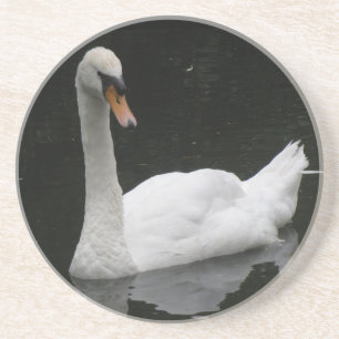 Schöne White Swan Untersetzer