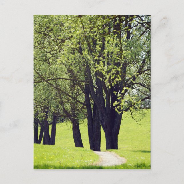 Schöne Wiese Postkarte (Vorderseite)