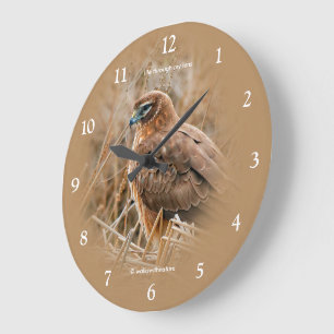 Schöne Wiesenweihe im Sumpf Große Wanduhr