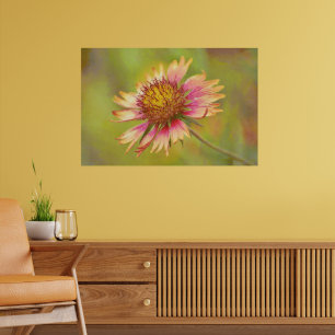 Schöne Wildblume Feuerrader Kunst Poster