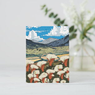 Schöne Wildblumenwiesenlandschaft Postkarte