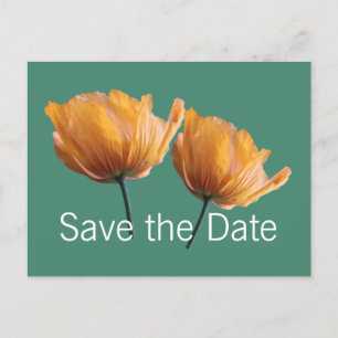 schöne wilde gelbe Mohnblumen Save-the-Date Ankündigungspostkarte