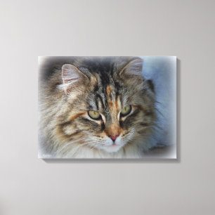 Schöne wilde Katzenporträt-Leinwanddruck Leinwanddruck