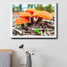 Schöne wilde Pilze im Herbstfeld Poster
