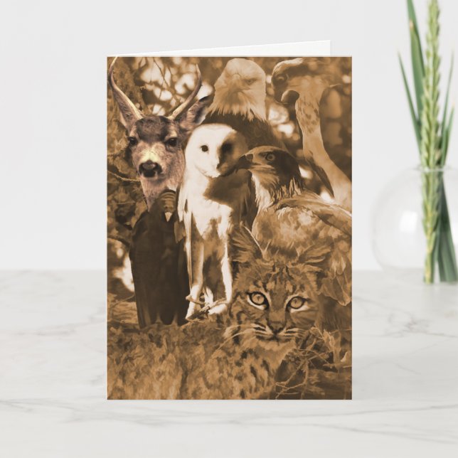 Schöne Wildtiere blank Karte (Vorderseite)