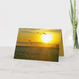 Schöne Wildvögel bei Sonnenuntergang, Lanscape Karte