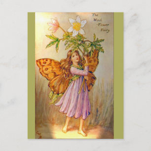 Schöne Windblumenfee Postkarte
