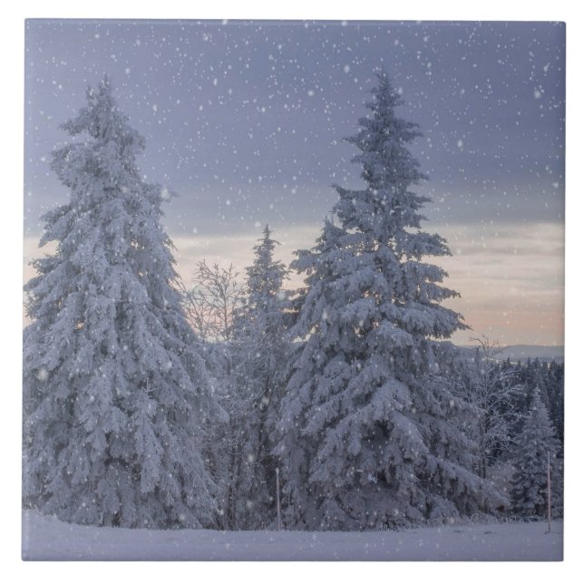 Schöne Winterlandschaft als Schnee Fliese (Vorderseite)