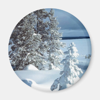 Schöne Winterlandschaft Magnet