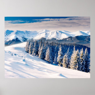 Schöne Winterlandschaft mit schneebedeckten Bäumen Poster