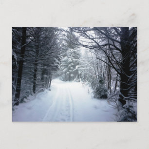 Schöne Winterlandschaft Postkarte