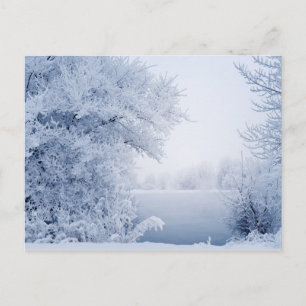 Schöne Winterlandschaft Postkarte