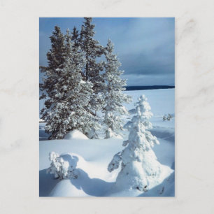 Schöne Winterlandschaft Postkarte