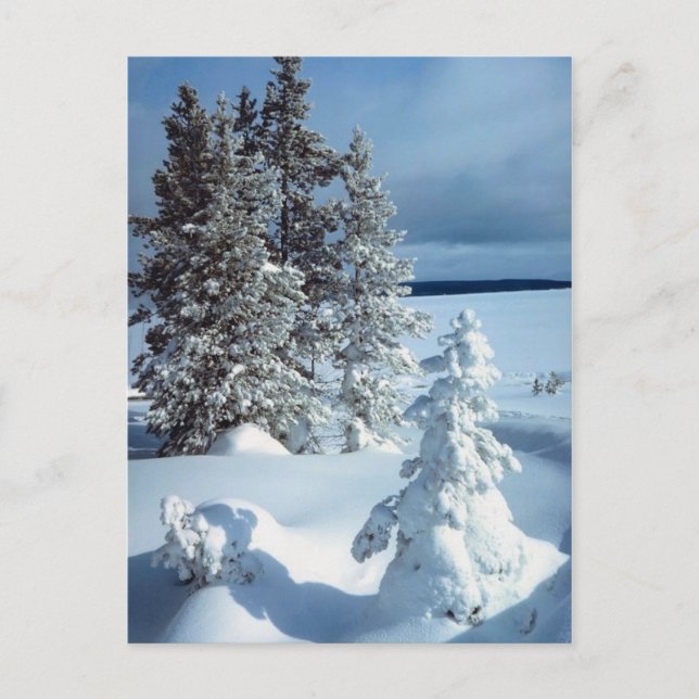 Schöne Winterlandschaft Postkarte (Vorderseite)