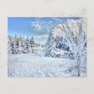 Schöne Winterschneewaldlandschaft Postkarte