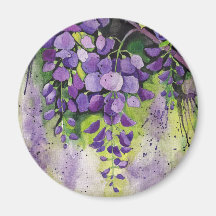 Schöne Wisteria Blume im Magnet für Wasserfarben