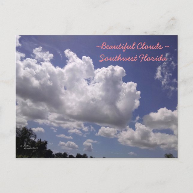 Schöne Wolken SW Florida Postcard Postkarte (Vorderseite)