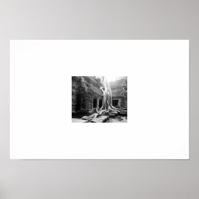 Schöne Wurzeln - Angkor Wats - Kambodscha Poster (Vorne)